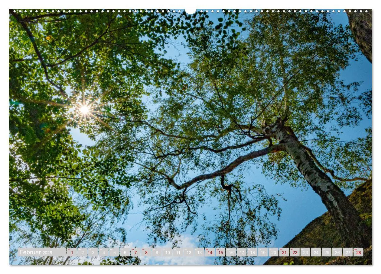 Bild: 9783457684498 | Naturpark Zittauer Gebirge (hochwertiger Premium Wandkalender 2026...