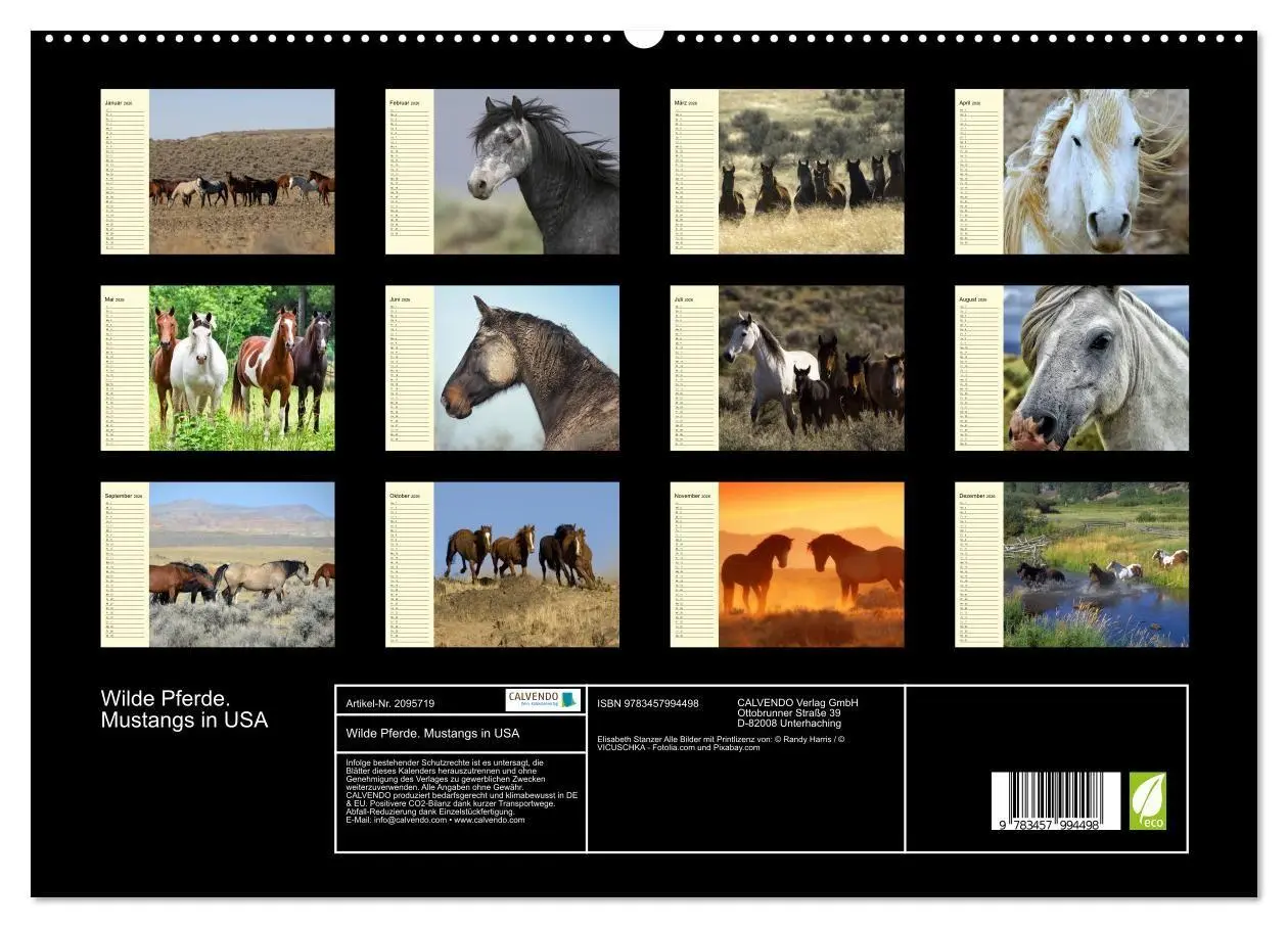 Bild: 9783457994498 | Wilde Pferde. Mustangs in USA (hochwertiger Premium Wandkalender...