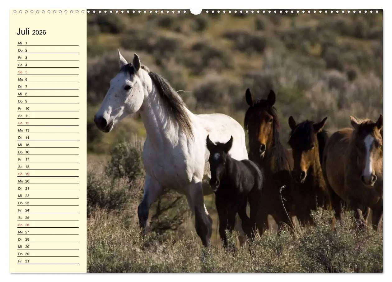 Bild: 9783457994498 | Wilde Pferde. Mustangs in USA (hochwertiger Premium Wandkalender...