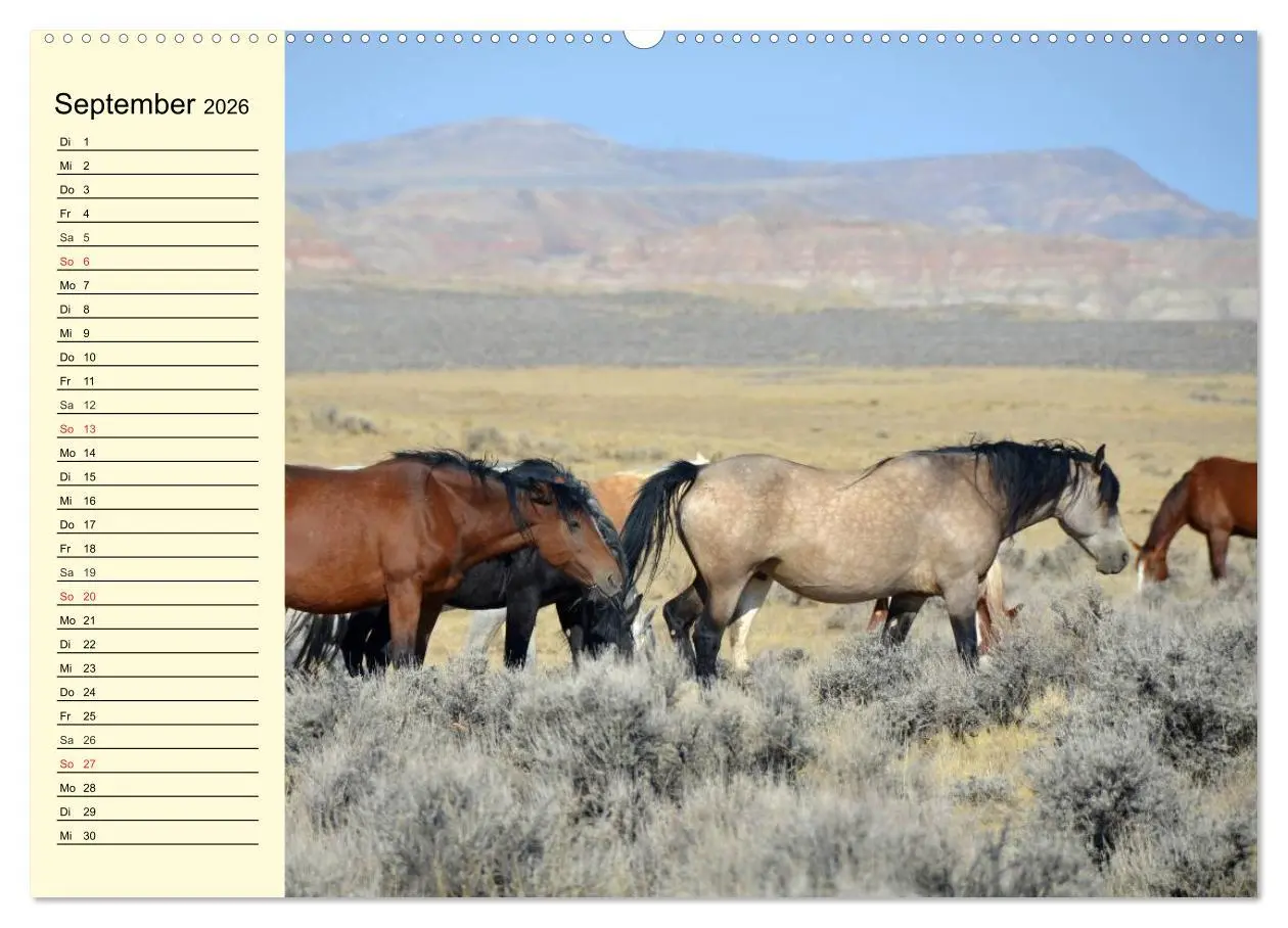 Bild: 9783457994498 | Wilde Pferde. Mustangs in USA (hochwertiger Premium Wandkalender...