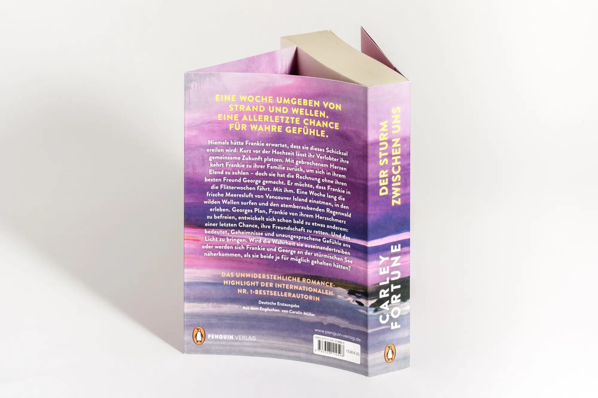 Bild: 9783328114598 | Der Sturm zwischen uns | Carley Fortune | Taschenbuch | 512 S. | 2026