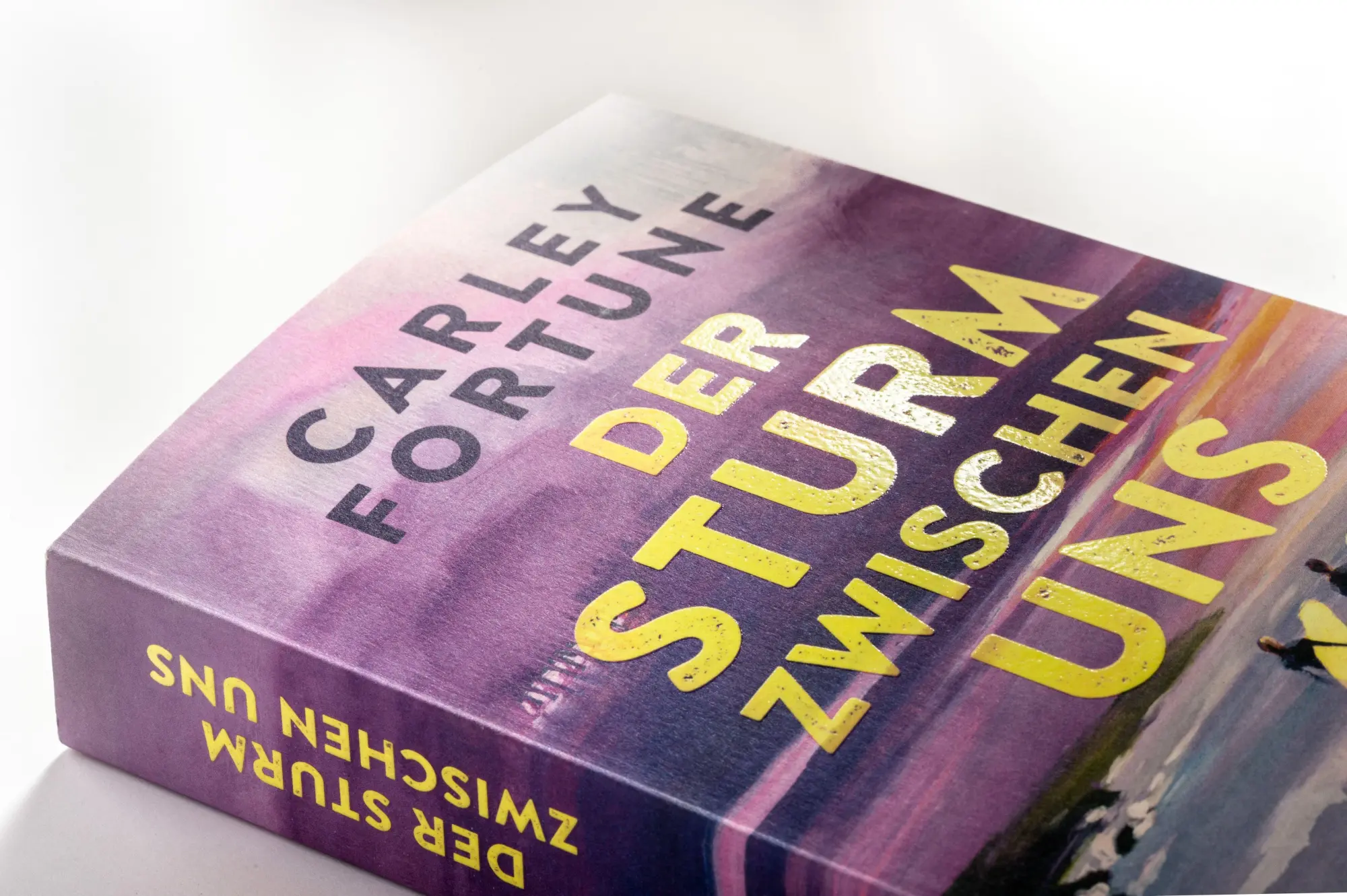Bild: 9783328114598 | Der Sturm zwischen uns | Carley Fortune | Taschenbuch | 512 S. | 2026