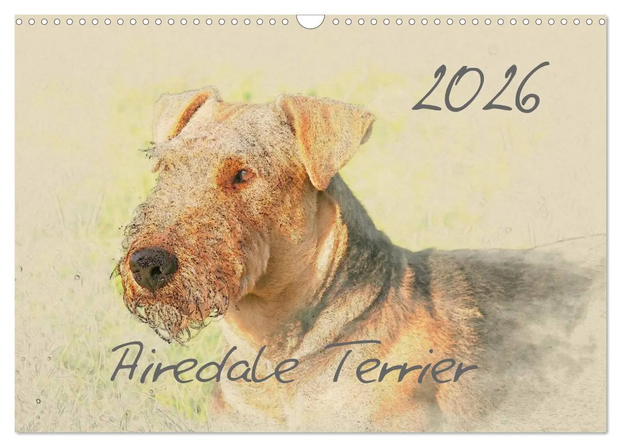 Cover: 9783516074598 | Airedale Terrier 2026 (Wandkalender 2026 DIN A3 quer), CALVENDO...