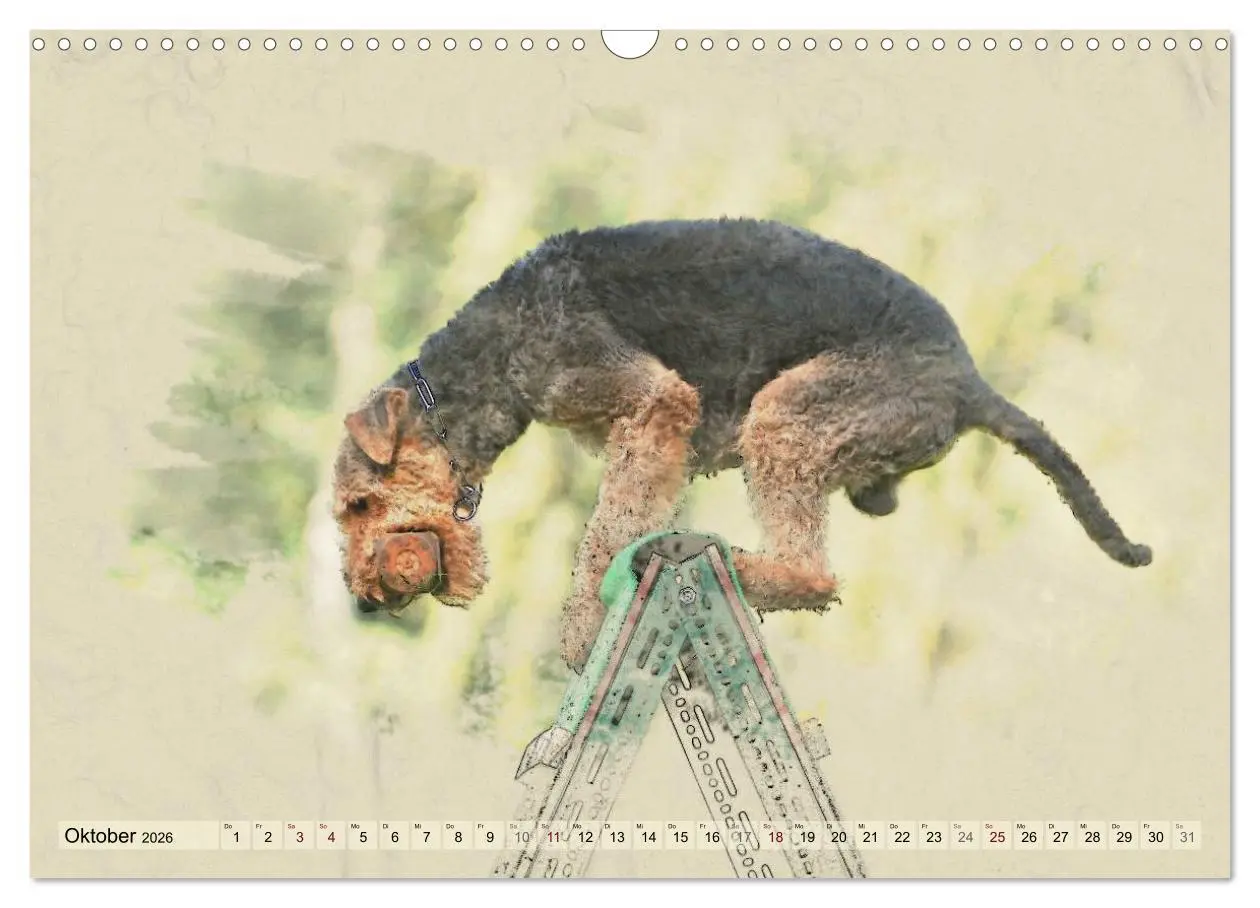 Bild: 9783516074598 | Airedale Terrier 2026 (Wandkalender 2026 DIN A3 quer), CALVENDO...