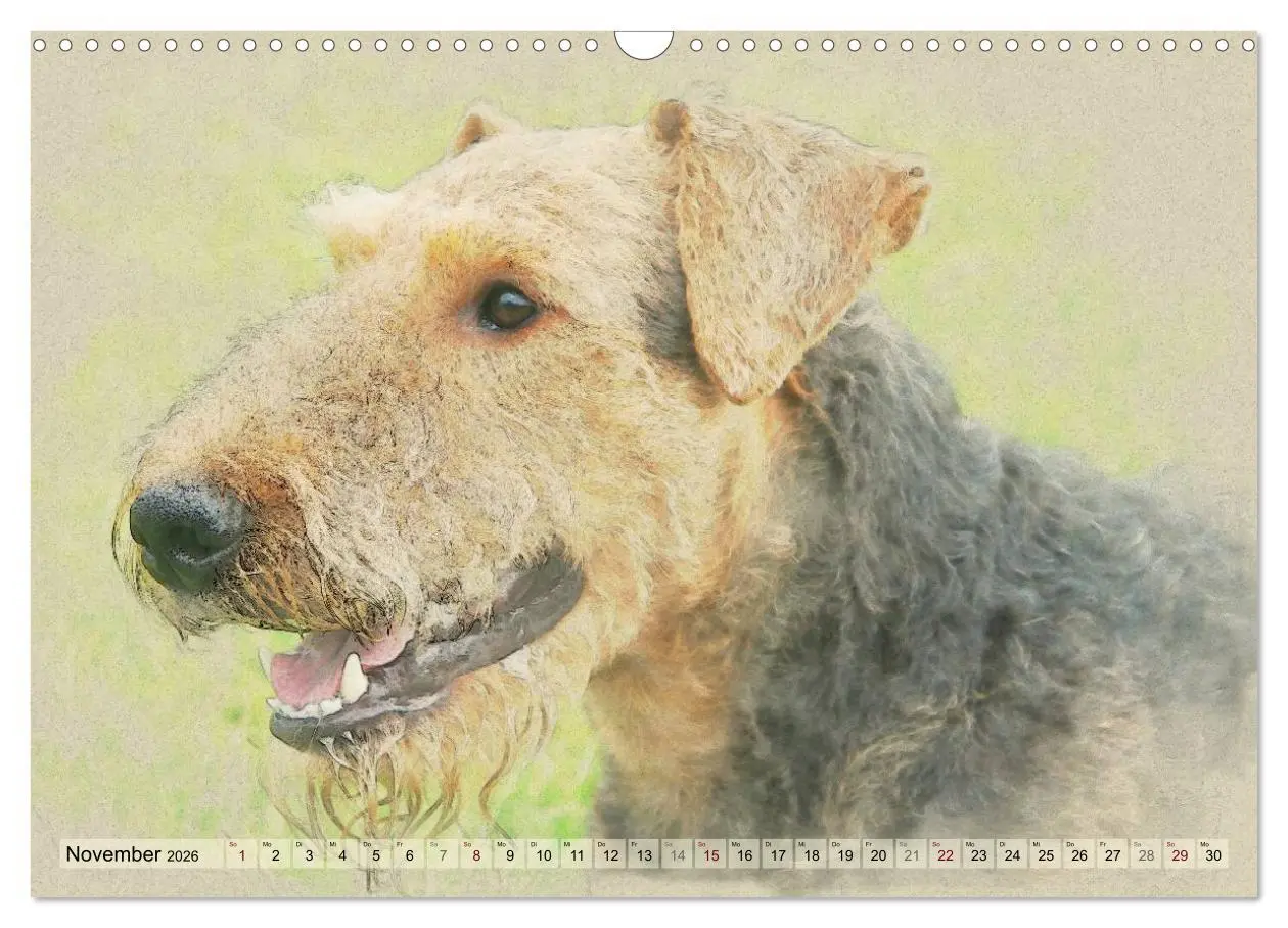 Bild: 9783516074598 | Airedale Terrier 2026 (Wandkalender 2026 DIN A3 quer), CALVENDO...