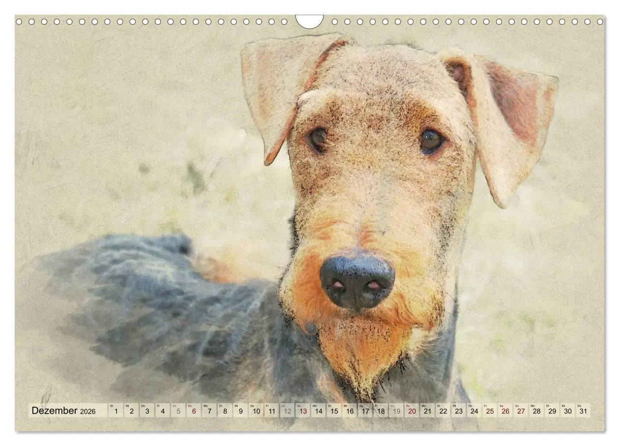 Bild: 9783516074598 | Airedale Terrier 2026 (Wandkalender 2026 DIN A3 quer), CALVENDO...