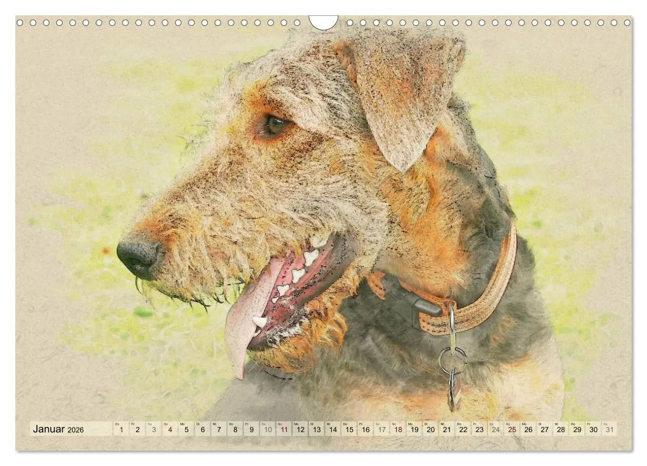Bild: 9783516074598 | Airedale Terrier 2026 (Wandkalender 2026 DIN A3 quer), CALVENDO...