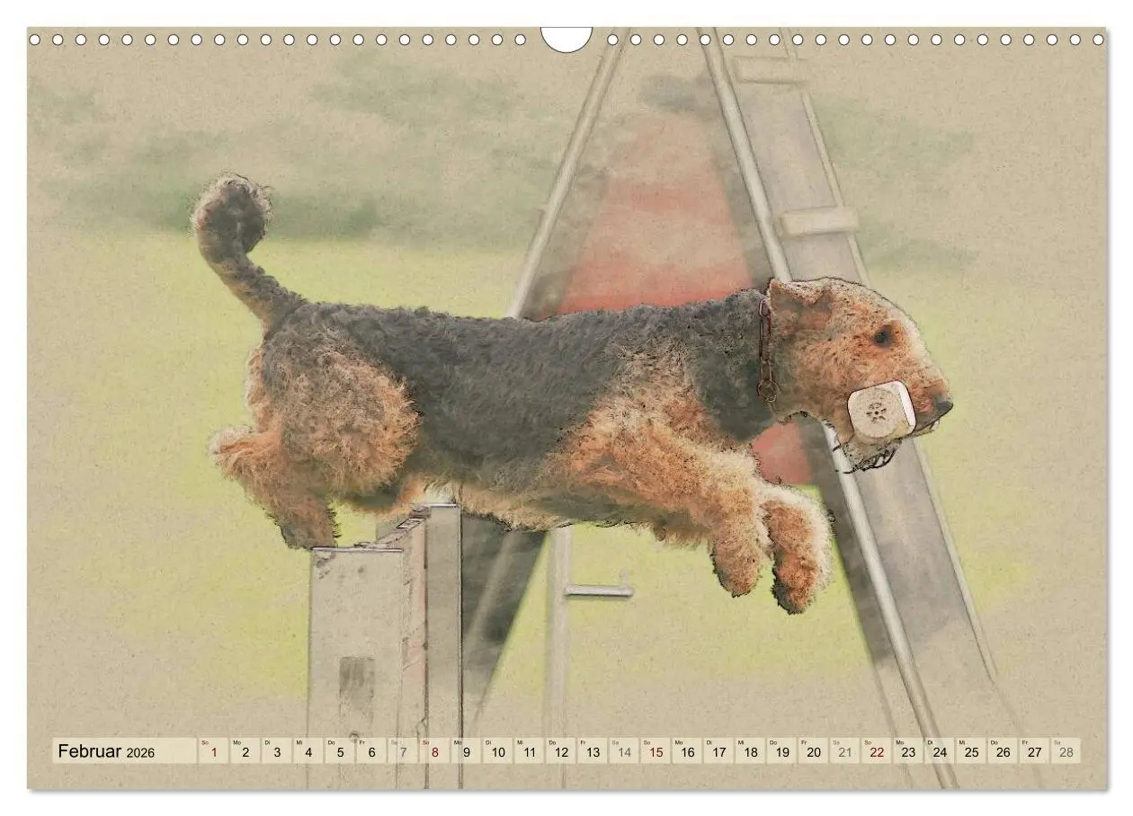 Bild: 9783516074598 | Airedale Terrier 2026 (Wandkalender 2026 DIN A3 quer), CALVENDO...