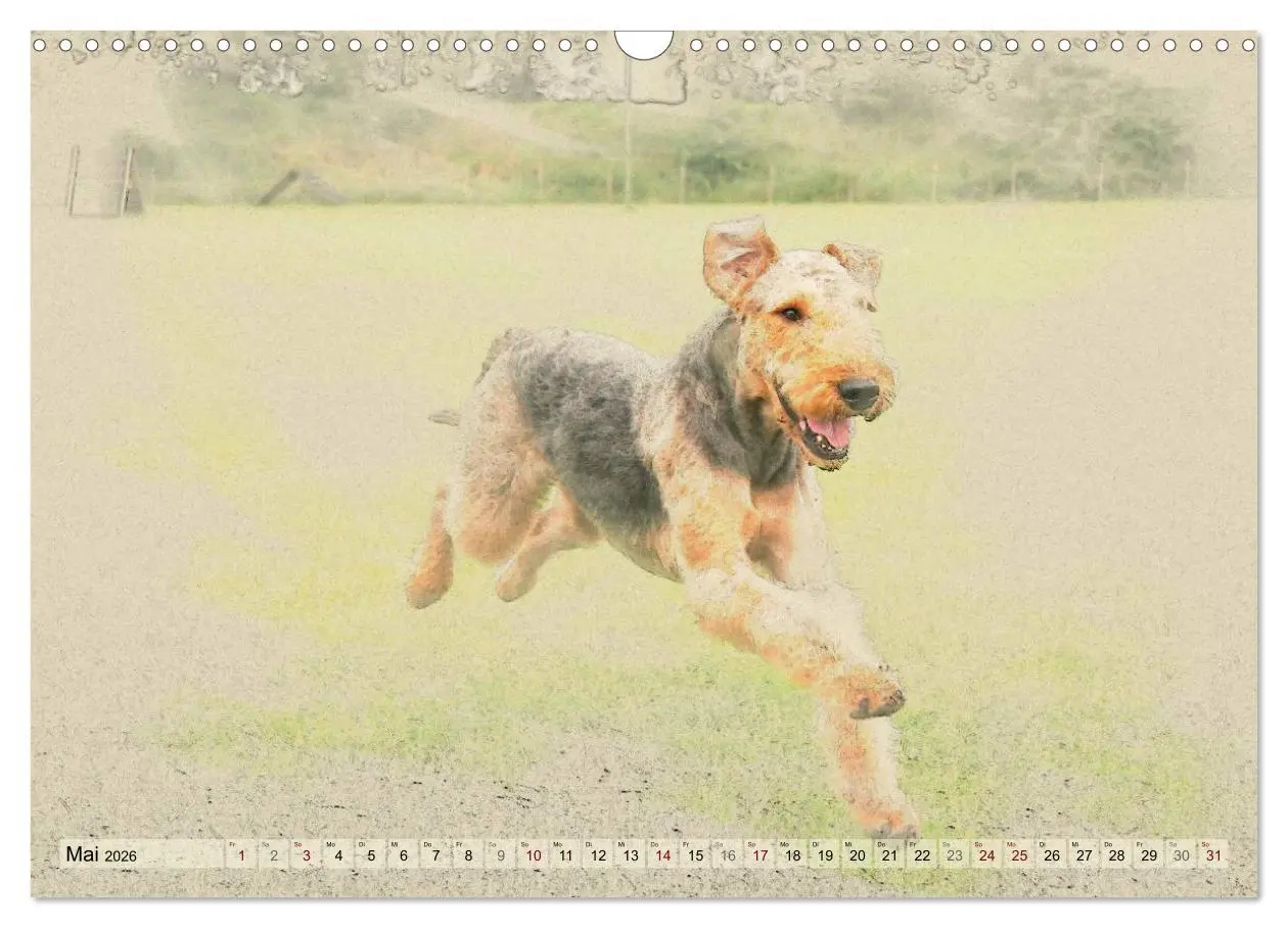 Bild: 9783516074598 | Airedale Terrier 2026 (Wandkalender 2026 DIN A3 quer), CALVENDO...