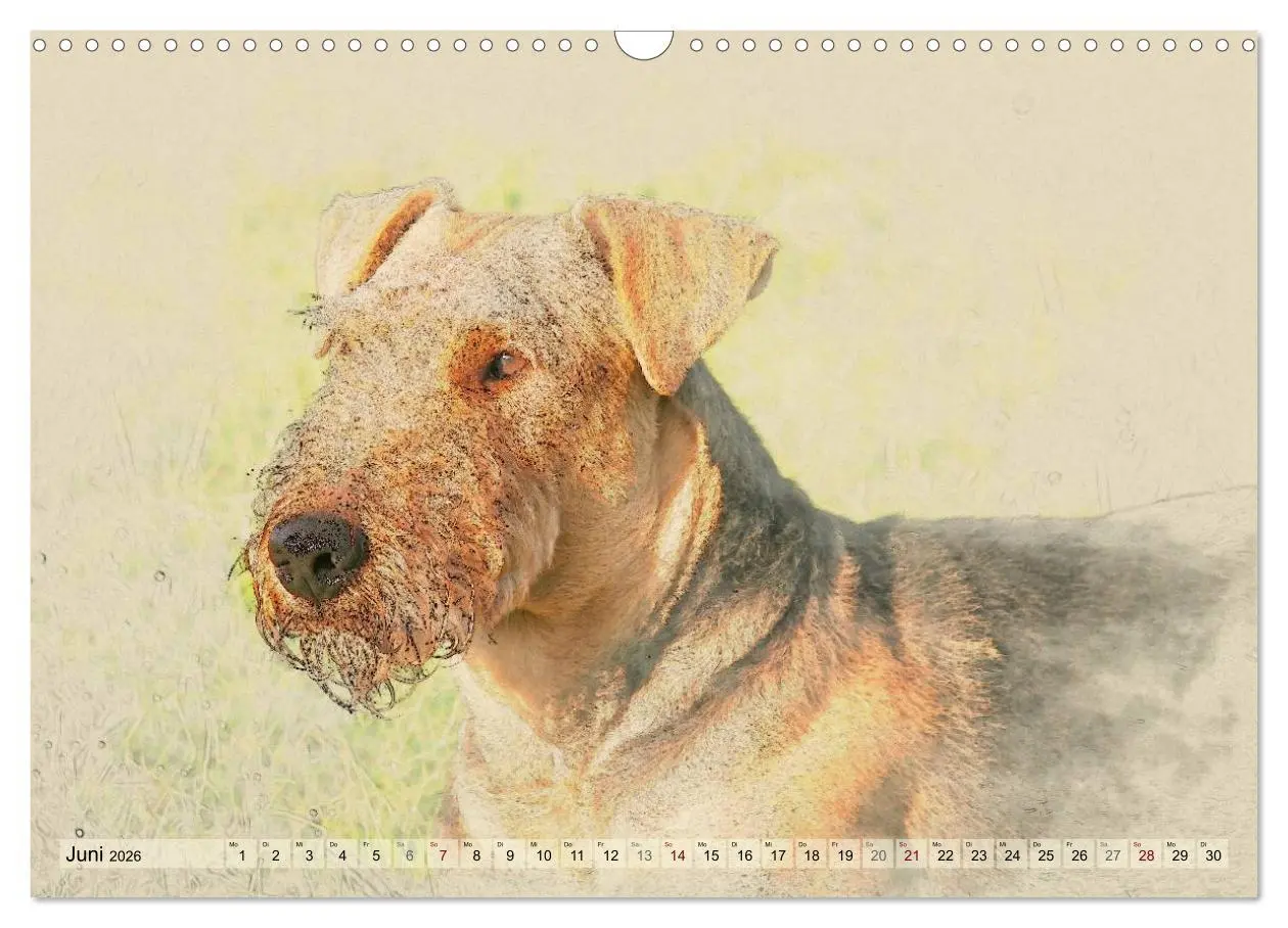 Bild: 9783516074598 | Airedale Terrier 2026 (Wandkalender 2026 DIN A3 quer), CALVENDO...