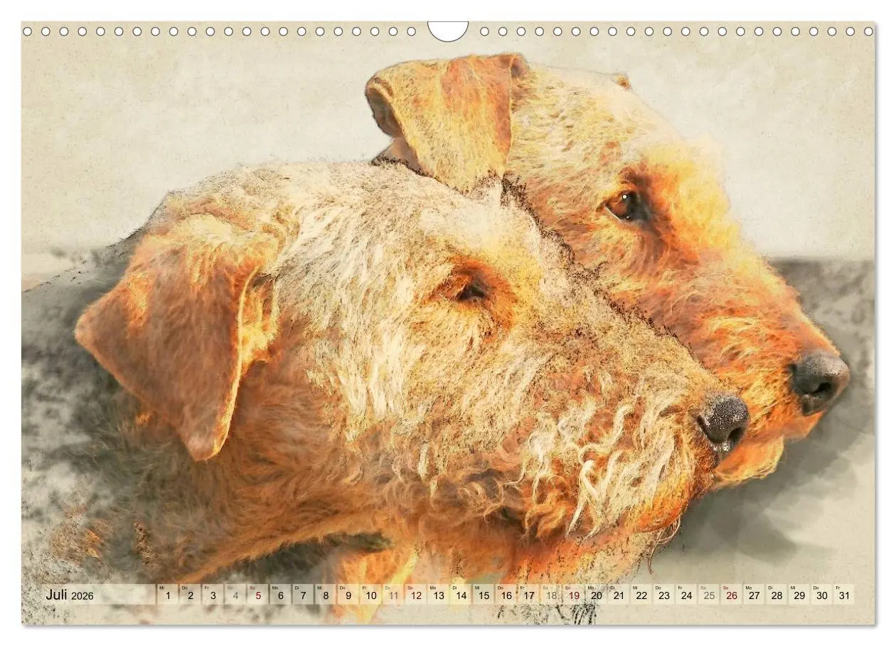 Bild: 9783516074598 | Airedale Terrier 2026 (Wandkalender 2026 DIN A3 quer), CALVENDO...