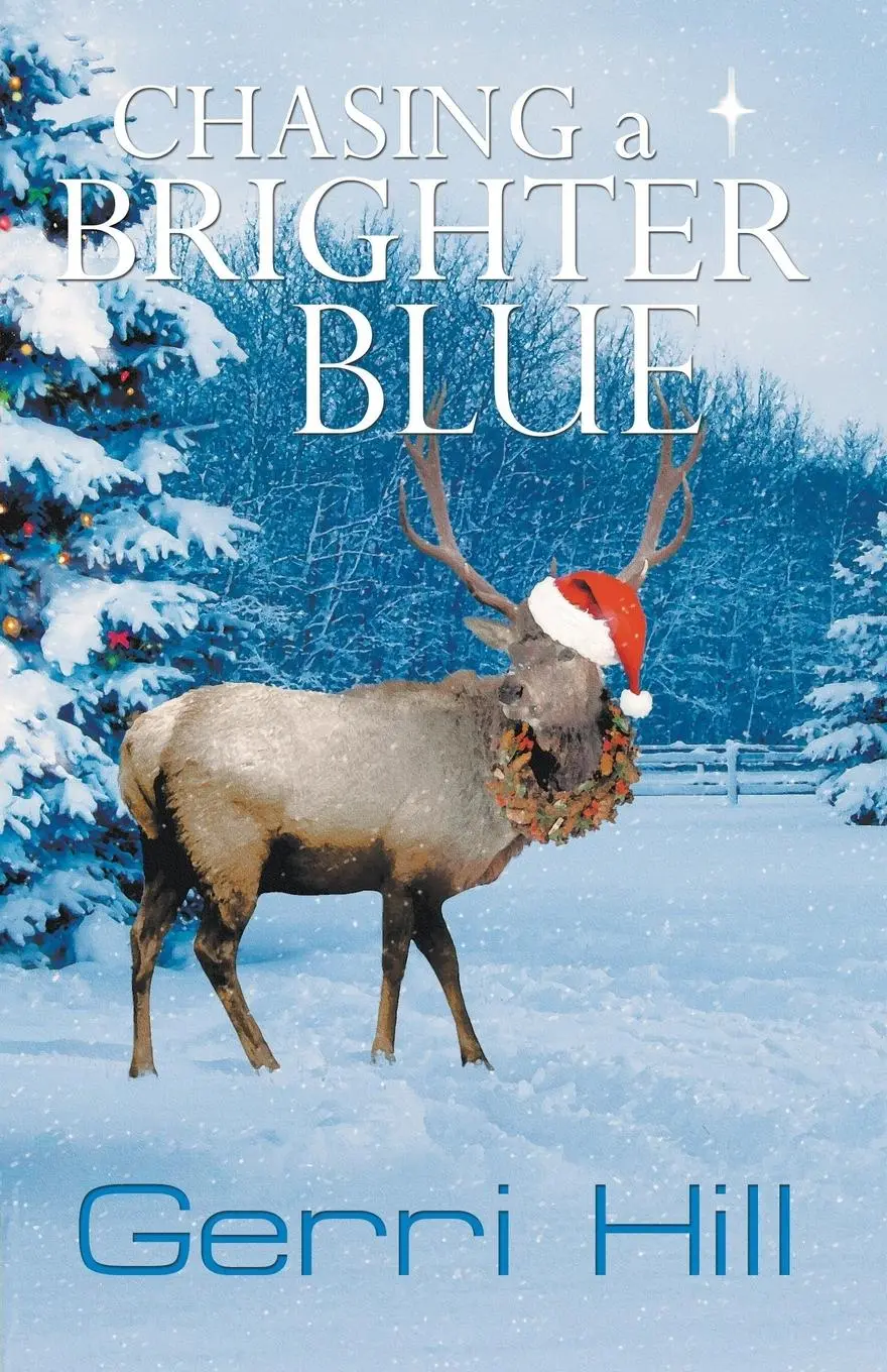 Cover: 9781594934698 | Chasing a Brighter Blue | Gerri Hill | Taschenbuch | Englisch | 2015