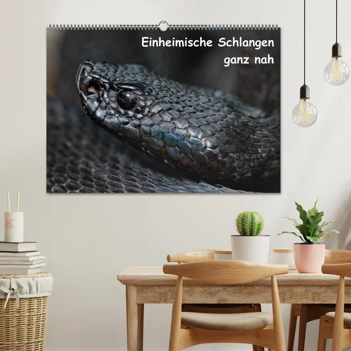 Bild: 9783516204698 | Einheimische Schlangen ganz nah (Wandkalender 2026 DIN A2 quer),...