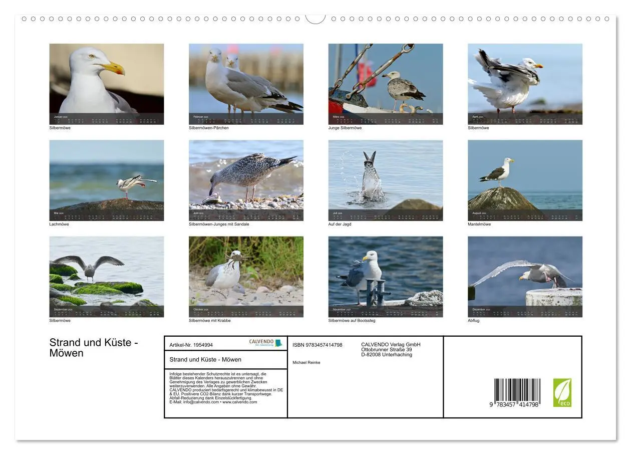 Bild: 9783457414798 | Strand und Küste - Möwen (hochwertiger Premium Wandkalender 2026...