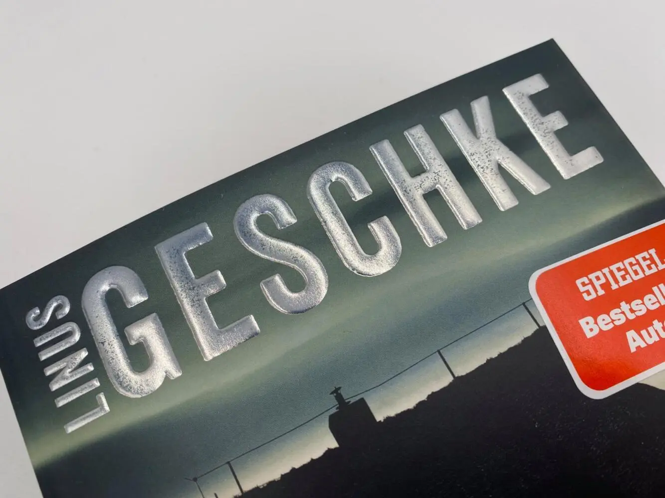 Bild: 9783492064798 | Die Verborgenen | Linus Geschke | Taschenbuch | 368 S. | Deutsch