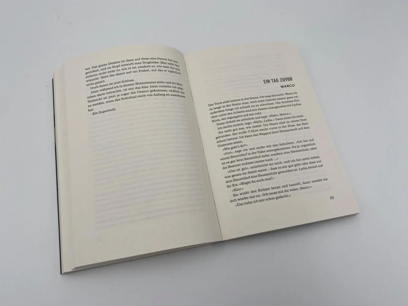 Bild: 9783492064798 | Die Verborgenen | Linus Geschke | Taschenbuch | 368 S. | Deutsch