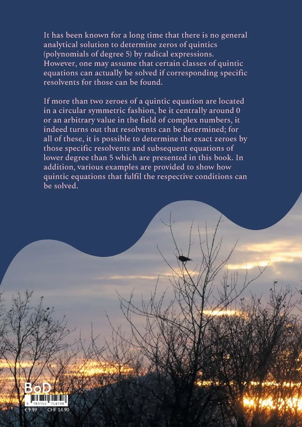 Rückseite: 9783755714798 | Quintics with Symmetries | Achim Plum | Taschenbuch | Paperback | 2022
