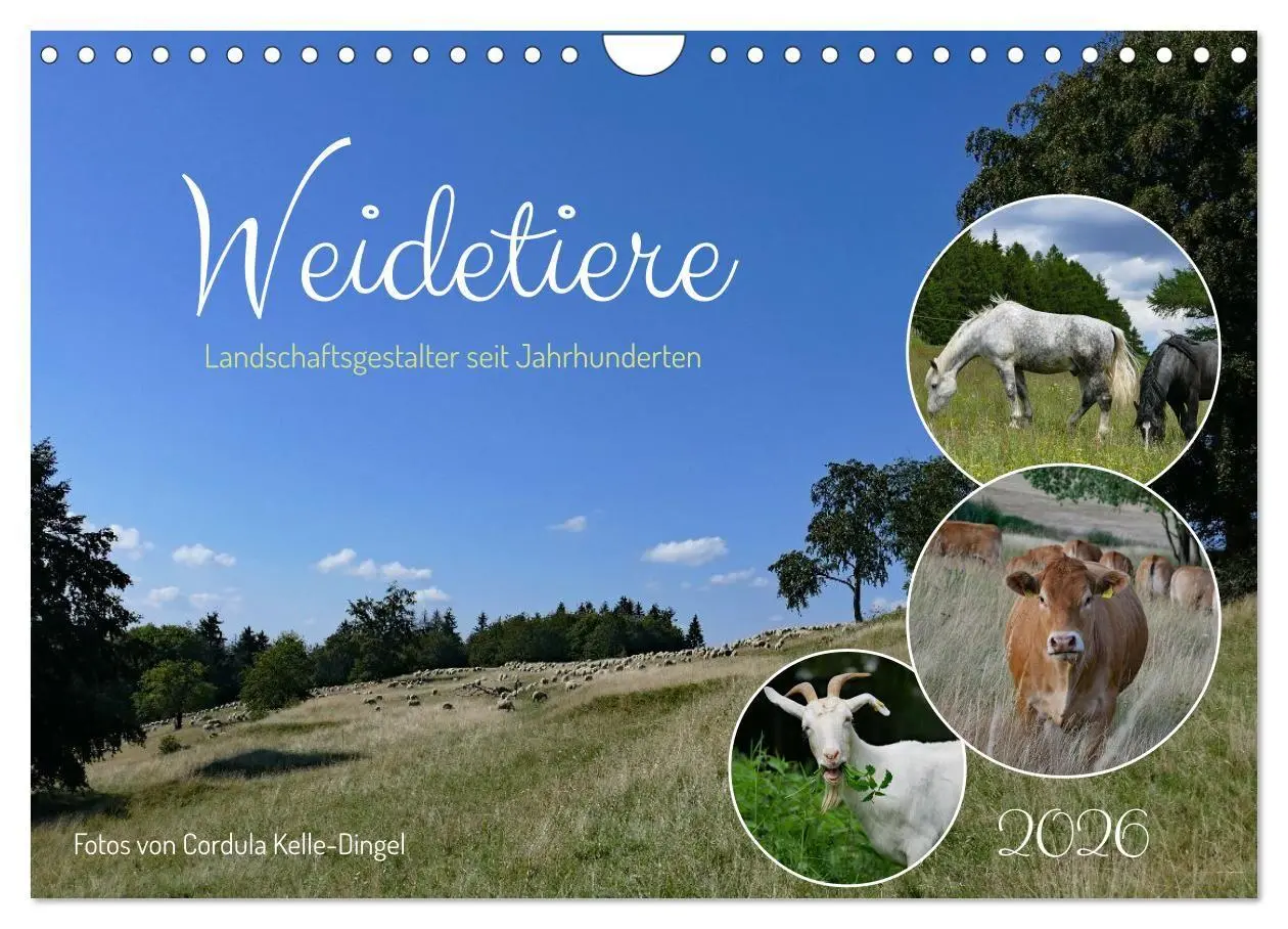Cover: 9783516724998 | Weidetiere - Landschaftsgestalter seit Jahrhunderten (Wandkalender...