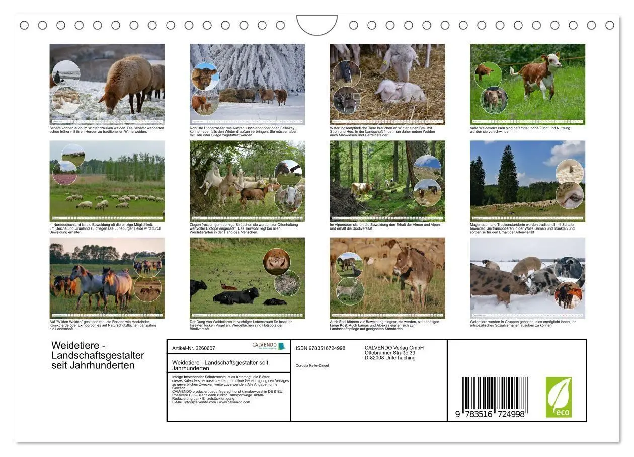Bild: 9783516724998 | Weidetiere - Landschaftsgestalter seit Jahrhunderten (Wandkalender...
