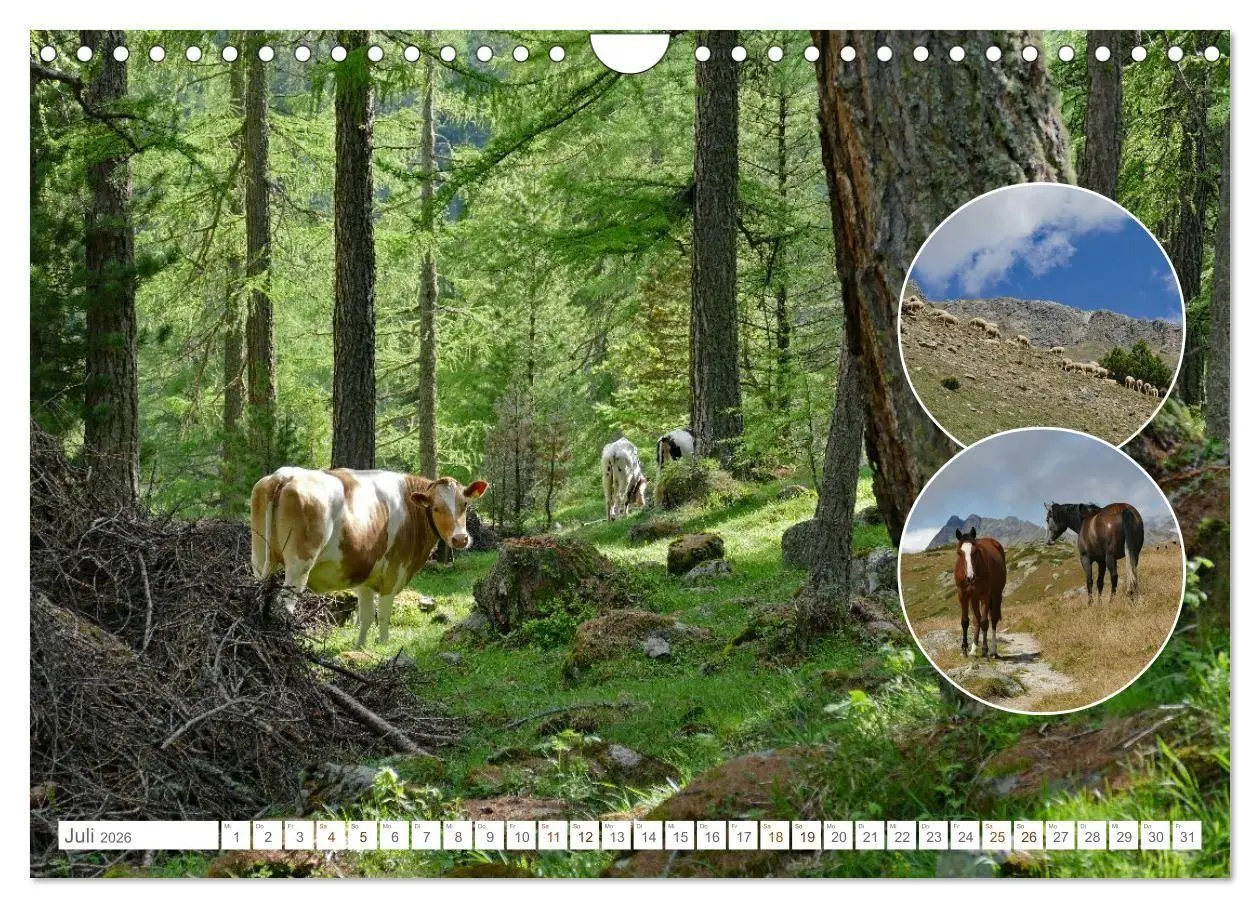 Bild: 9783516724998 | Weidetiere - Landschaftsgestalter seit Jahrhunderten (Wandkalender...
