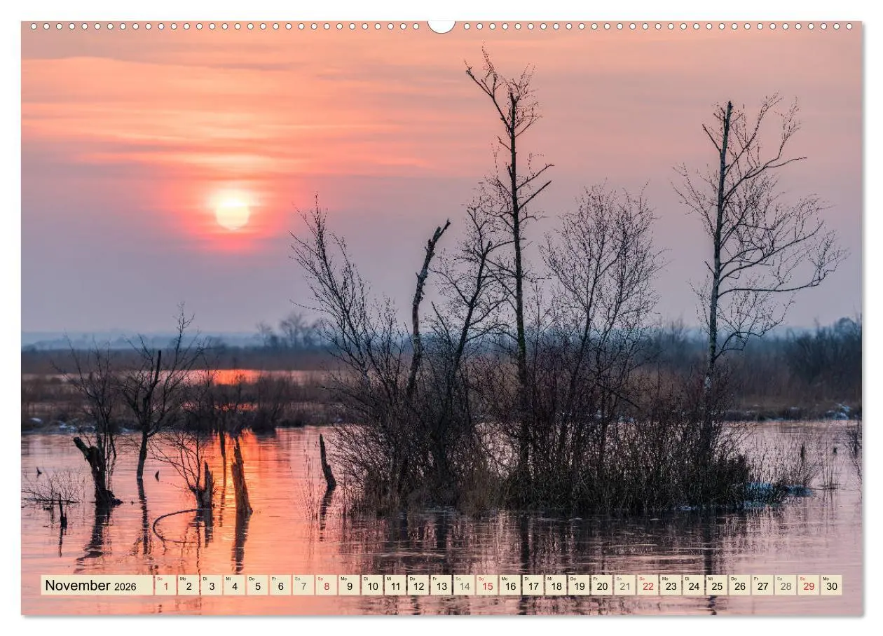 Bild: 9783457765098 | Niedersachsens Natur (Wandkalender 2026 DIN A2 quer), CALVENDO...