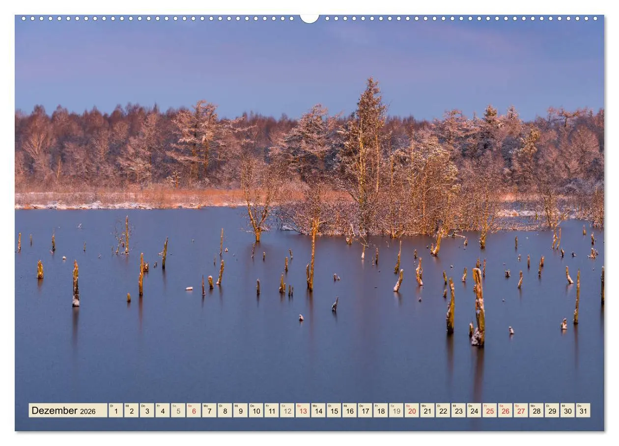 Bild: 9783457765098 | Niedersachsens Natur (Wandkalender 2026 DIN A2 quer), CALVENDO...