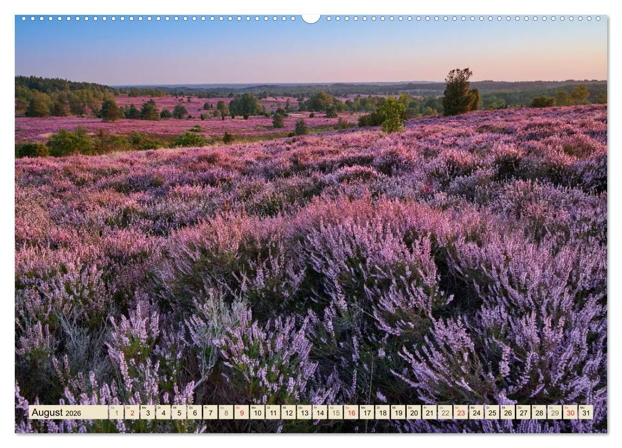 Bild: 9783457765098 | Niedersachsens Natur (Wandkalender 2026 DIN A2 quer), CALVENDO...