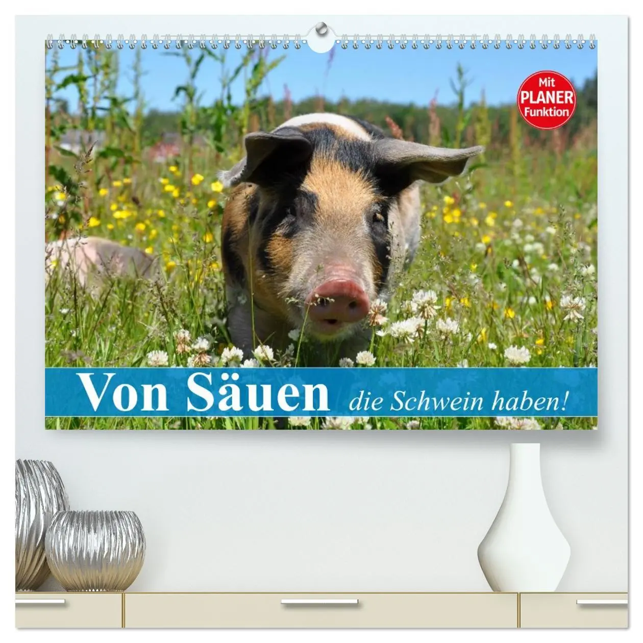 Cover: 9783457995198 | Von Säuen die Schwein haben! (hochwertiger Premium Wandkalender...
