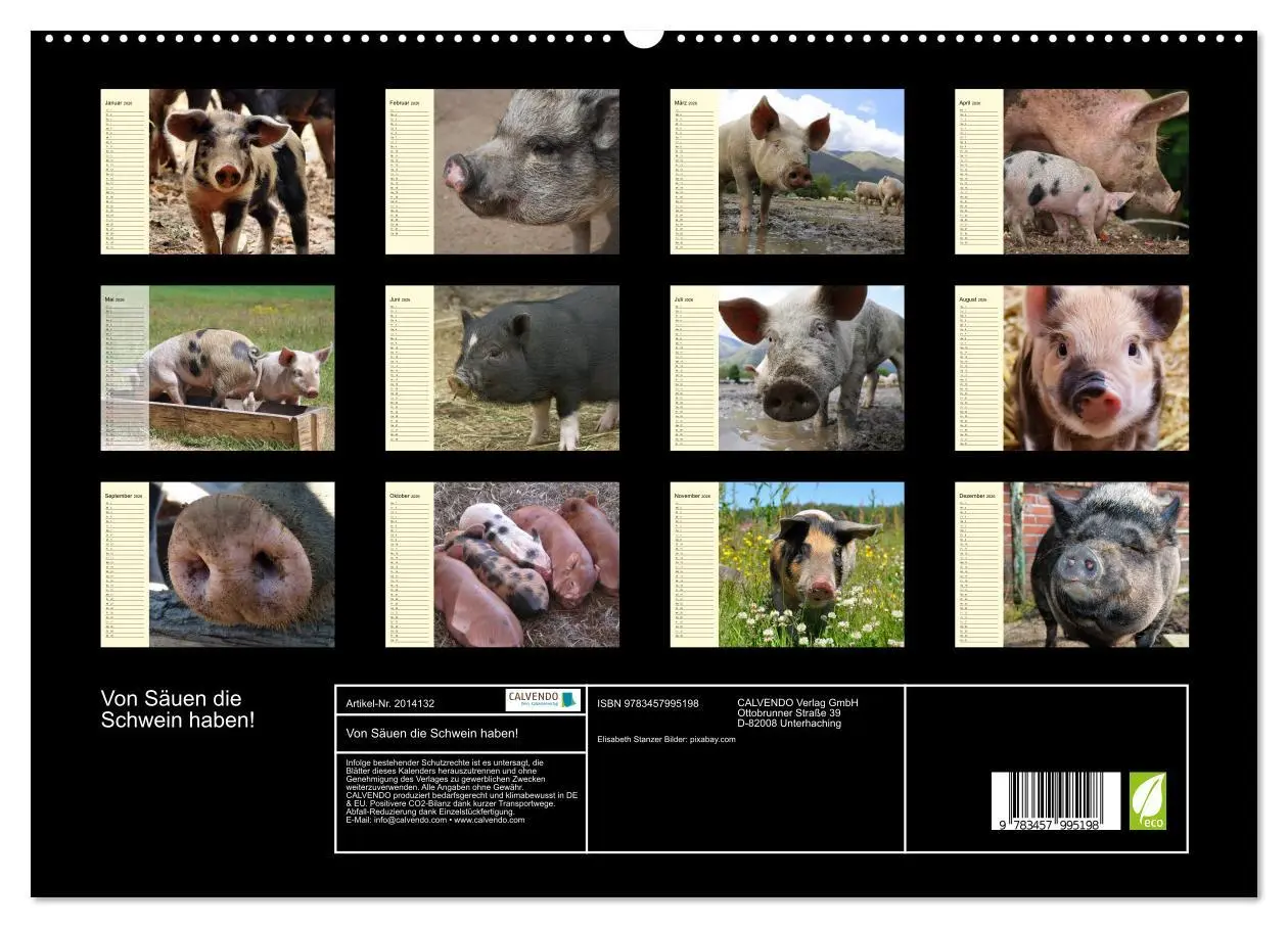 Bild: 9783457995198 | Von Säuen die Schwein haben! (hochwertiger Premium Wandkalender...