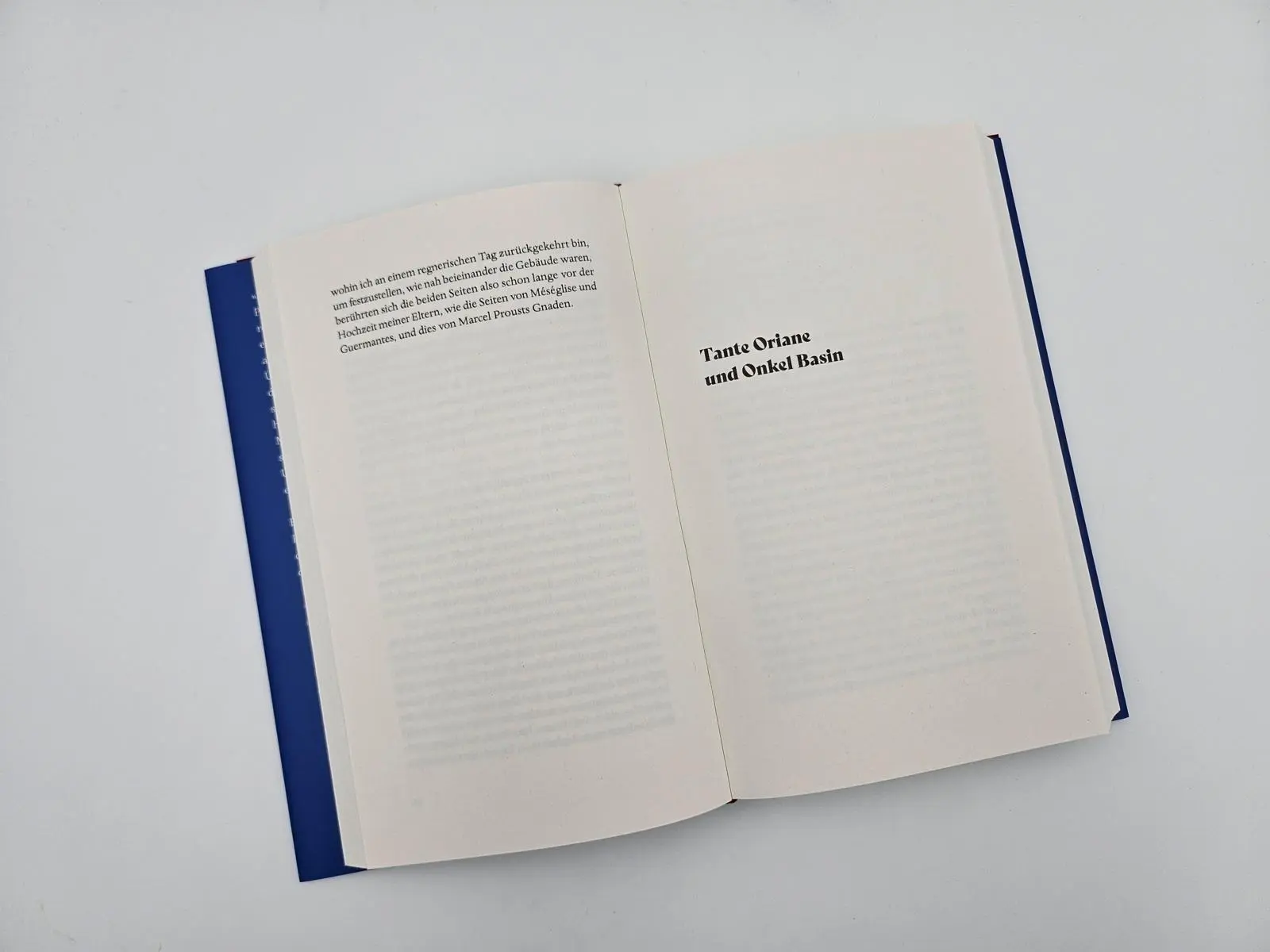 Bild: 9783827015198 | Proust. Familienroman | Laure Murat | Buch | 320 S. | Deutsch | 2025