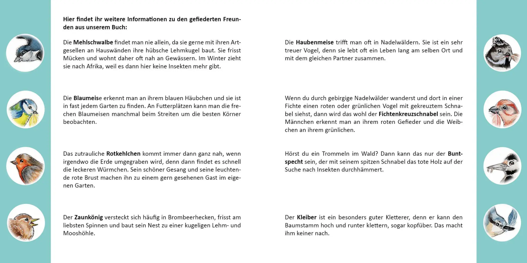 Bild: 9783960745198 | Farverig Sturmvogel | Rabea Funk | Taschenbuch | 30 S. | Deutsch
