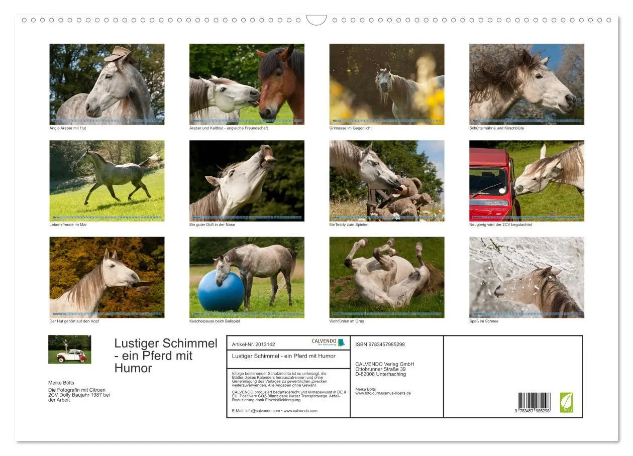 Bild: 9783457985298 | Lustiger Schimmel - ein Pferd mit Humor (Wandkalender 2026 DIN A2...
