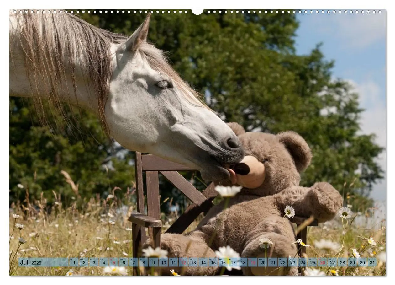 Bild: 9783457985298 | Lustiger Schimmel - ein Pferd mit Humor (Wandkalender 2026 DIN A2...