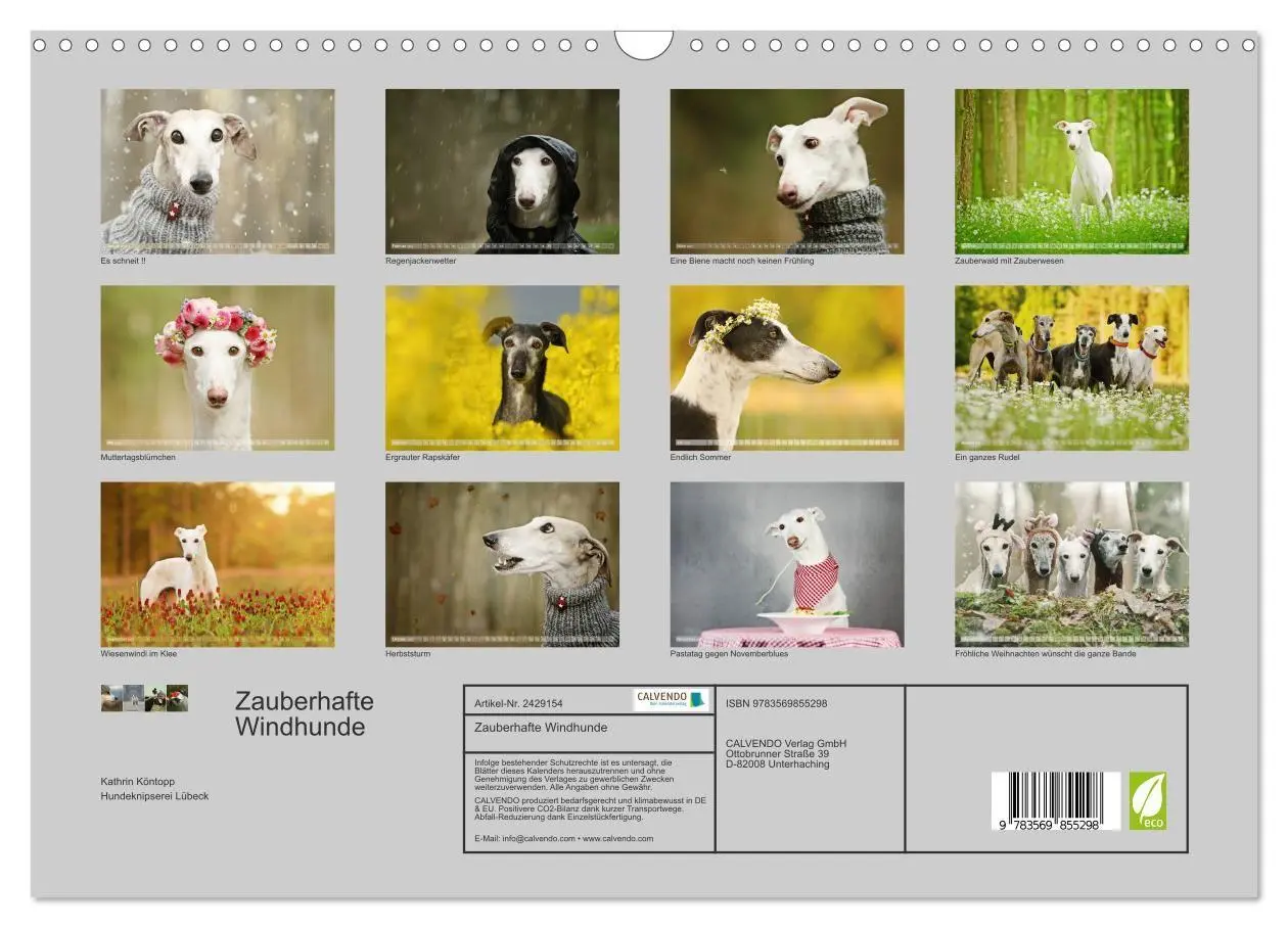 Bild: 9783569855298 | Zauberhafte Windhunde (Wandkalender 2027 DIN A3 quer), CALVENDO...