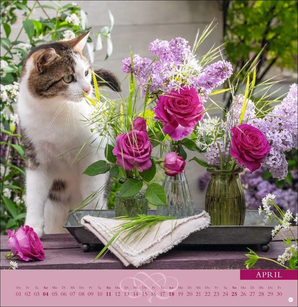 Bild: 9783756415298 | Rosenduftkalender 2027 | Heye | Kalender | Spiralbindung | 15 S.