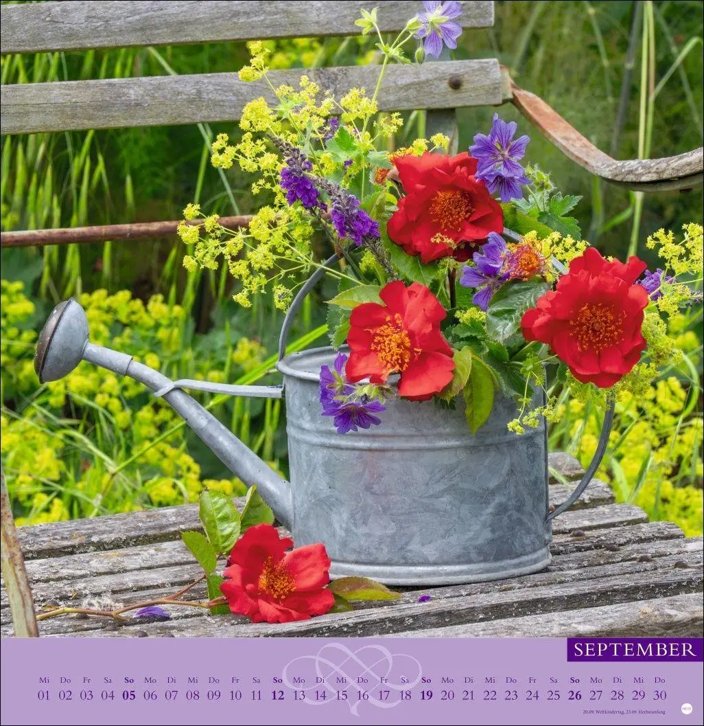 Bild: 9783756415298 | Rosenduftkalender 2027 | Heye | Kalender | Spiralbindung | 15 S.