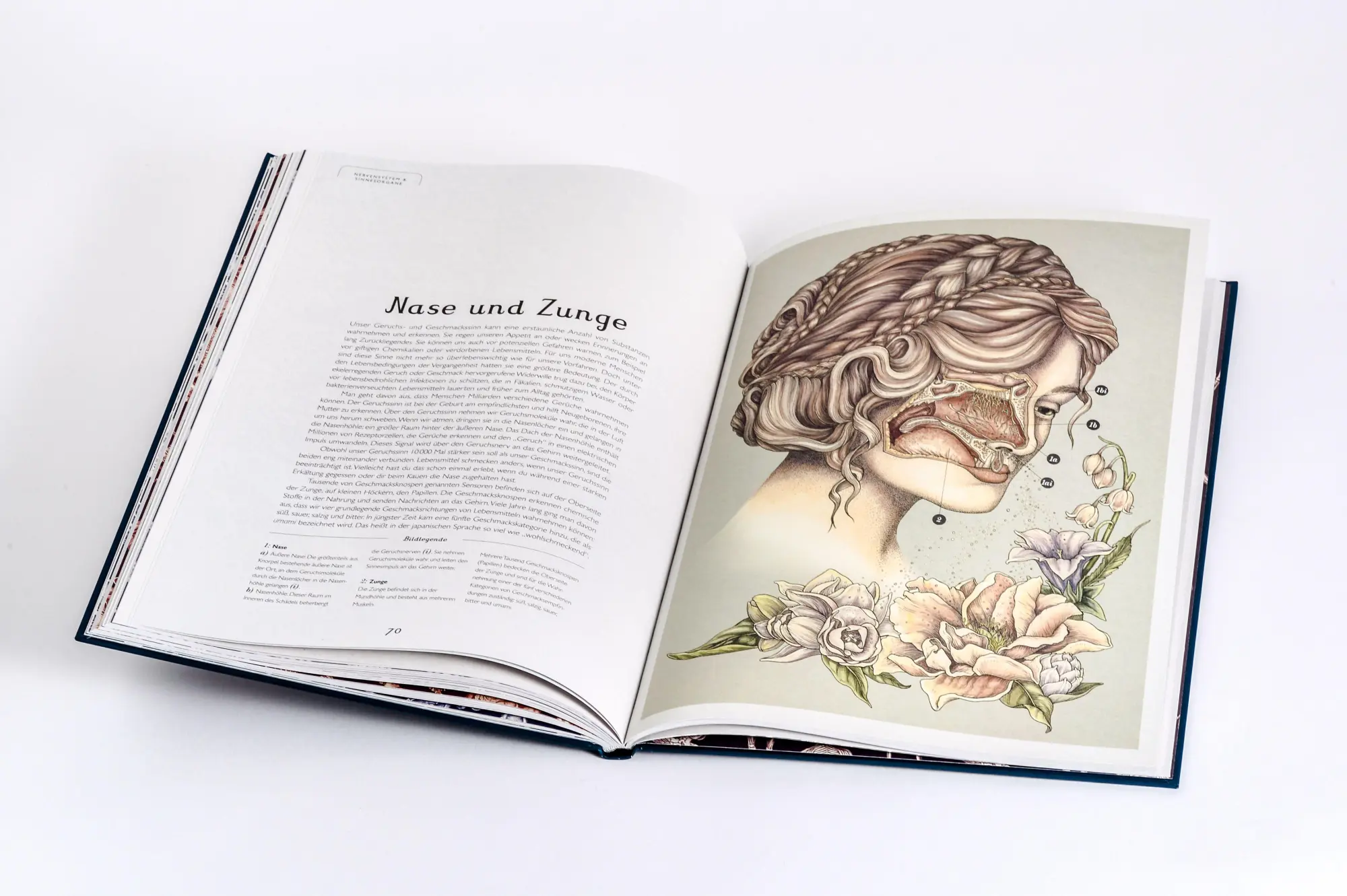 Bild: 9783791375298 | Das Museum des Körpers | Jennifer Z. Paxton | Buch | 112 S. | Deutsch