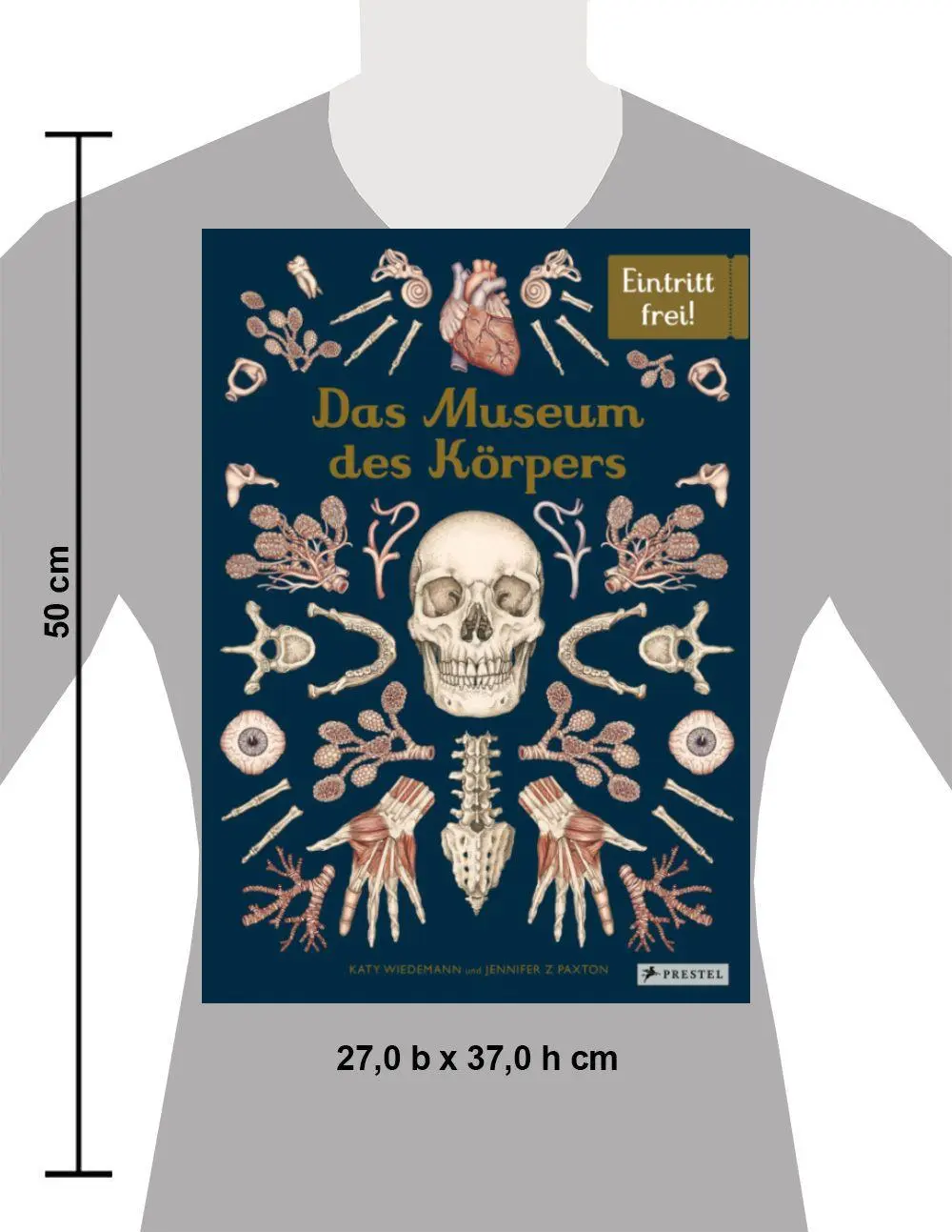 Bild: 9783791375298 | Das Museum des Körpers | Jennifer Z. Paxton | Buch | 112 S. | Deutsch