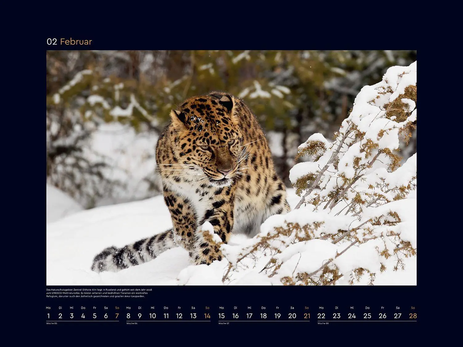Bild: 9783965915398 | Das Naturerbe der Welt - KUNTH Wandkalender 2027 | Kalender | 14 S.