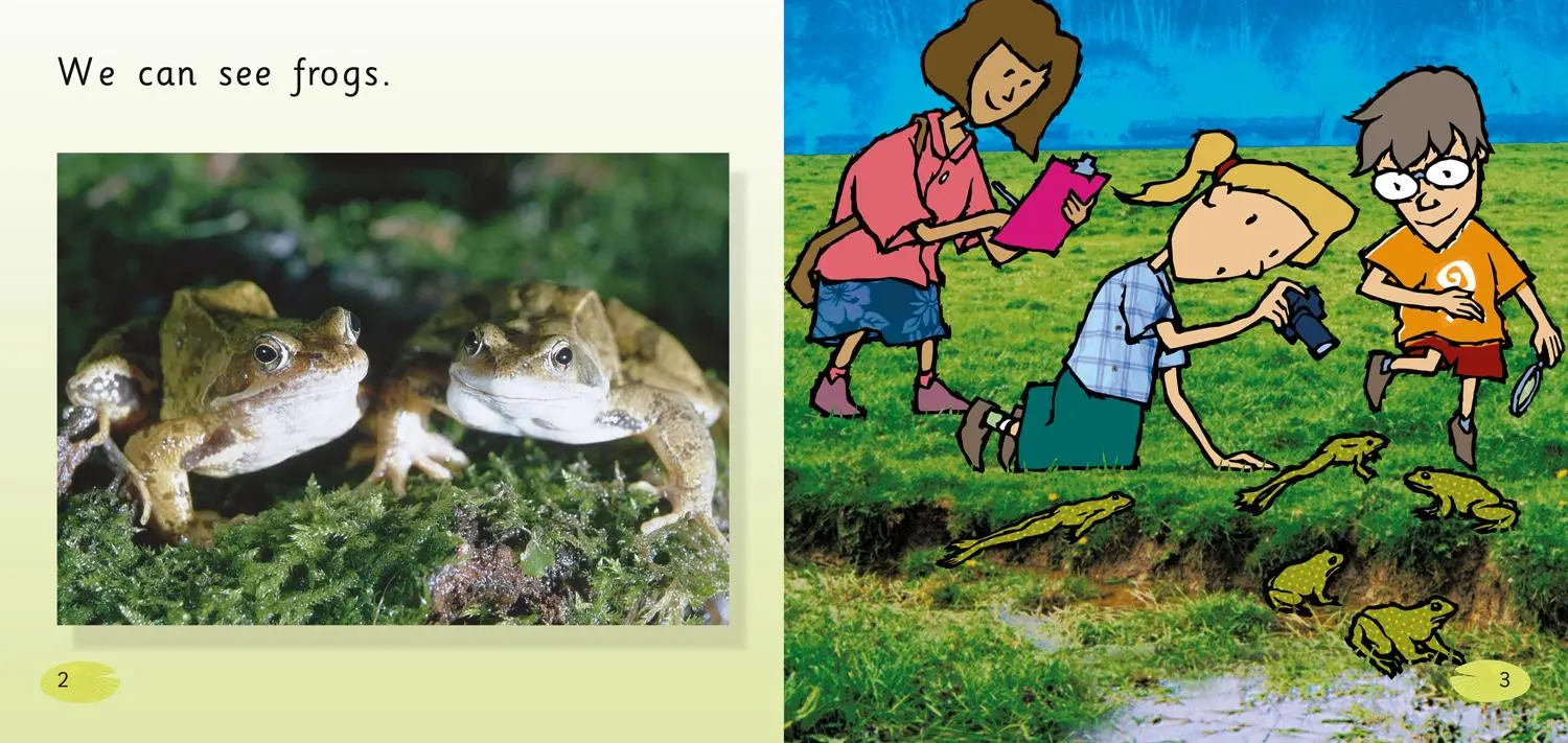 Bild: 9780007185498 | The Pond | Band 01b/Pink B | Claire Llewellyn | Taschenbuch | Englisch