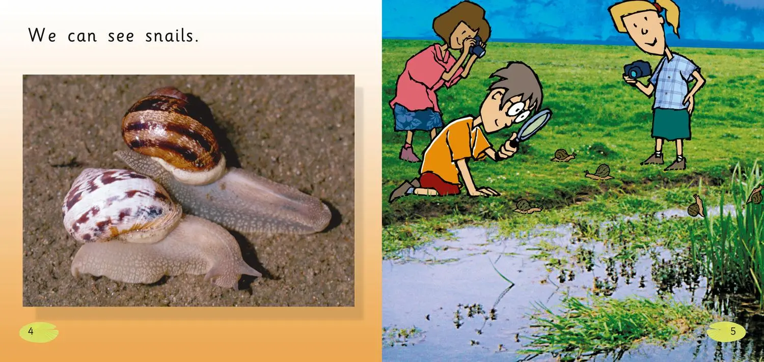 Bild: 9780007185498 | The Pond | Band 01b/Pink B | Claire Llewellyn | Taschenbuch | Englisch