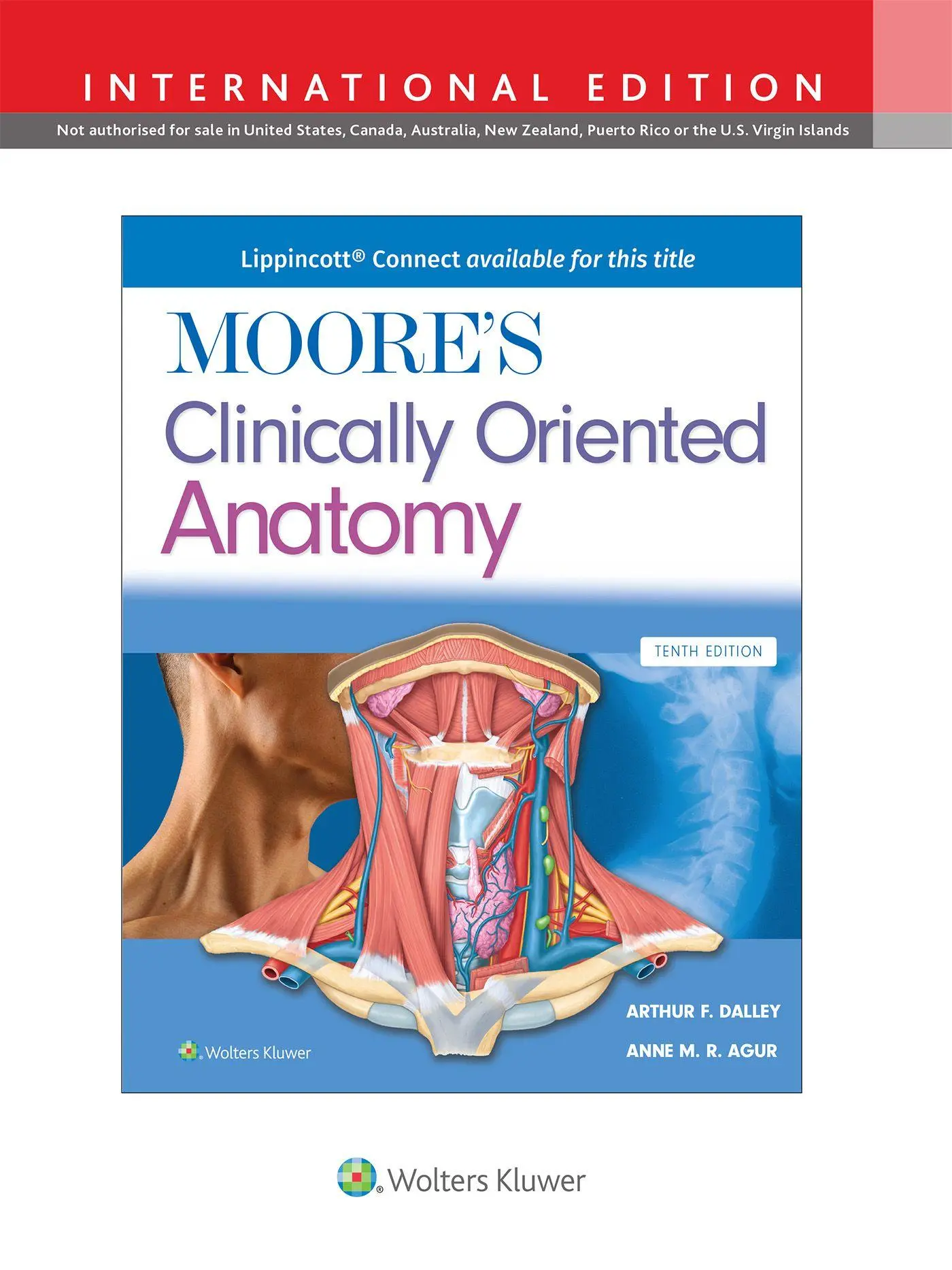 Cover: 9781975245498 | Moore's Clinically Oriented Anatomy | Arthur F. Dalley II (u. a.)