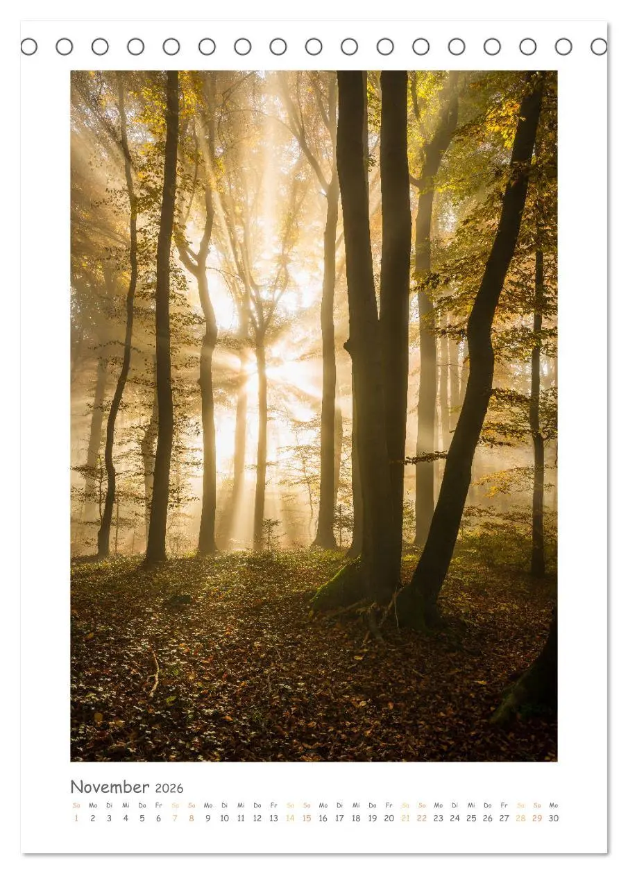 Bild: 9783457275498 | peaceful silence - einsame Landschaften (Tischkalender 2026 DIN A5...