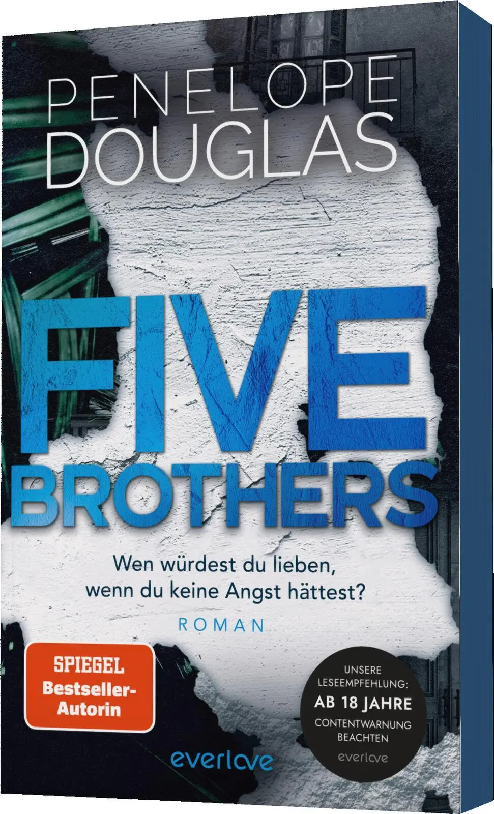 Bild: 9783492065498 | Five Brothers - Wen würdest du lieben, wenn du keine Angst hättest?