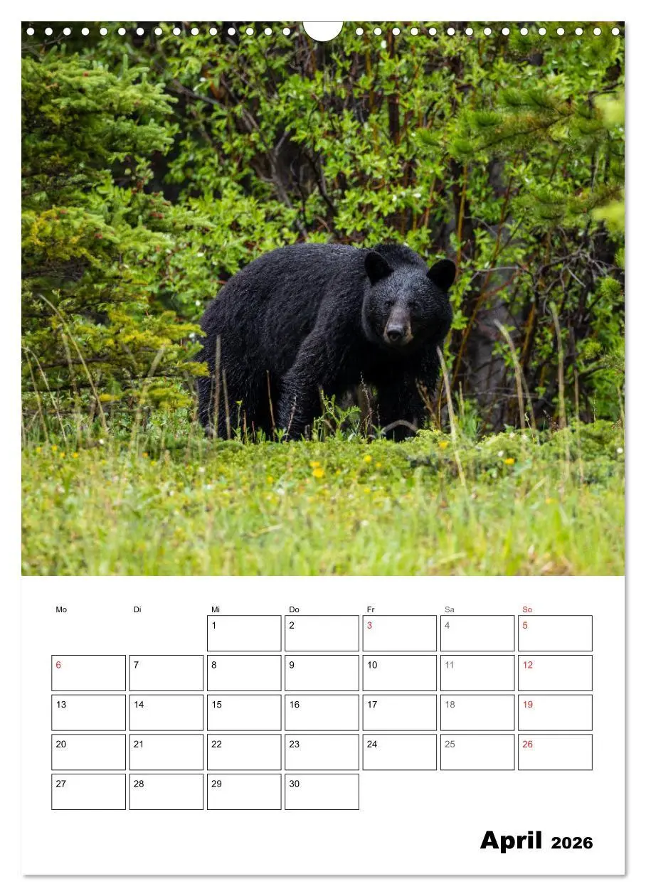 Bild: 9783516365498 | Mein Schönes Kanada (Wandkalender 2026 DIN A3 hoch), CALVENDO...