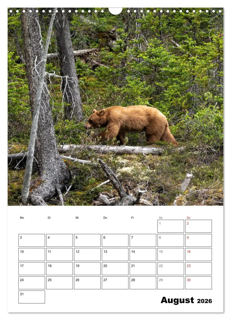 Bild: 9783516365498 | Mein Schönes Kanada (Wandkalender 2026 DIN A3 hoch), CALVENDO...
