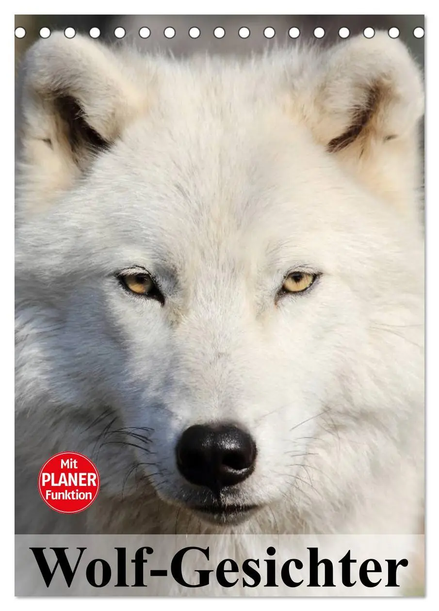 Cover: 9783516435498 | Wolf-Gesichter (Tischkalender 2026 DIN A5 hoch), CALVENDO...