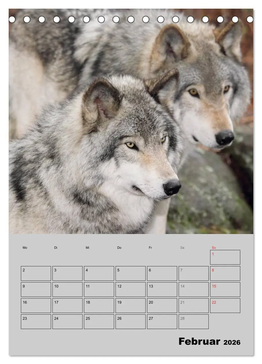 Bild: 9783516435498 | Wolf-Gesichter (Tischkalender 2026 DIN A5 hoch), CALVENDO...