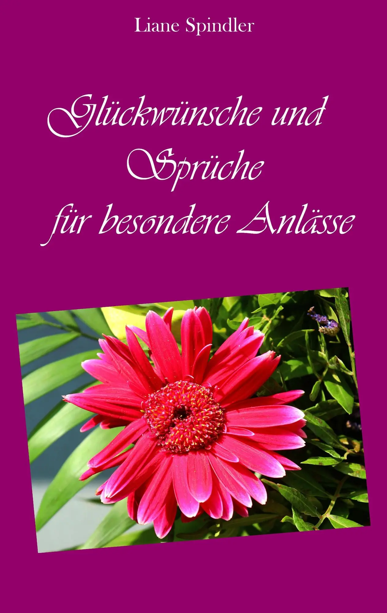 Cover: 9783734775598 | Glückwünsche und Sprüche für besondere Anlässe | Liane Spindler | Buch