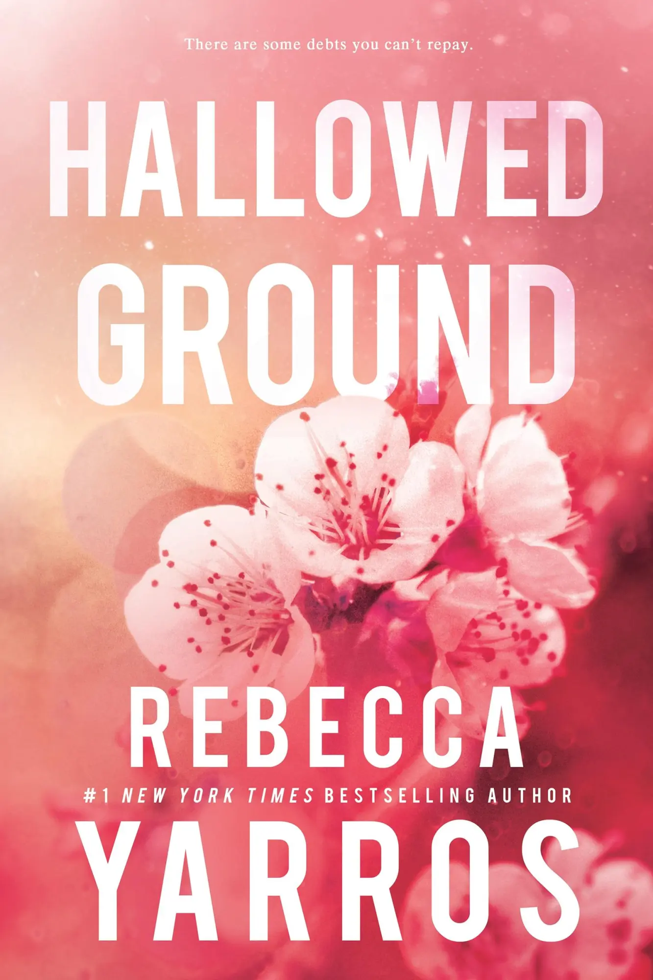 Cover: 9781649375698 | Hallowed Ground | Rebecca Yarros | Taschenbuch | Flight &amp; Glory | 2023